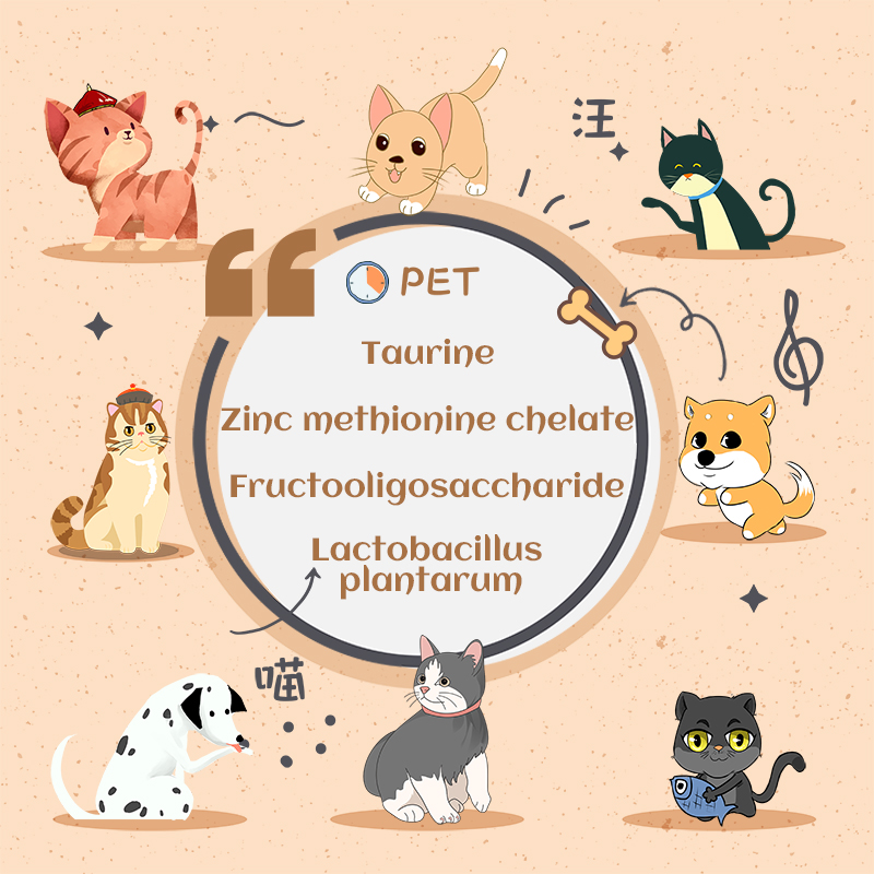 Multistrain Mixed Probiotic Powder To Promote Reproduction for Pets