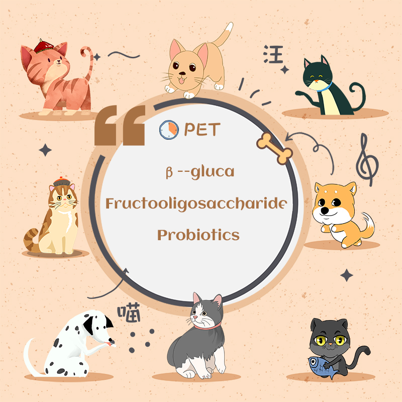 Feed Grade Improve Tumor Multistrain Probiotics Probiotic Powder for Pets